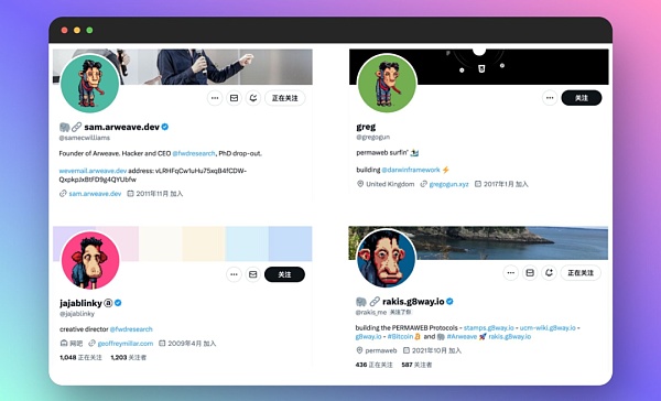 解讀Dumdumz熱潮：戲謔與不朽 重奏Arweave Mem&nbsp;圖片