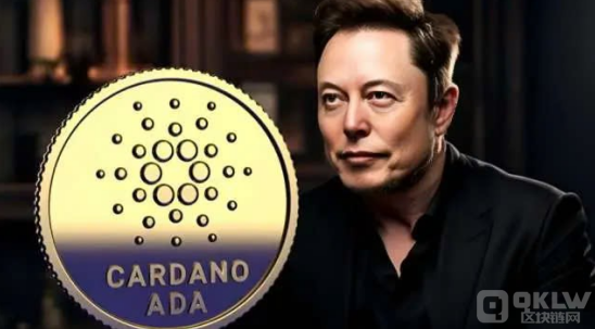 伊隆·馬斯克與卡爾達諾的傳聞引發市場關注圖片