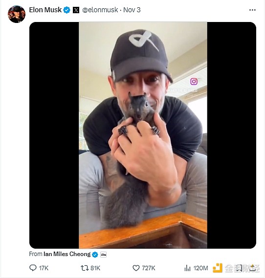 從安樂死到拯救美國：網紅松鼠Peanut的前世今生圖片