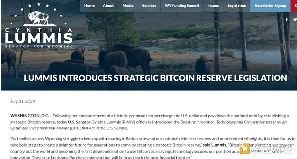 誰將成為 2025 年Crypto的主要采用者？圖片