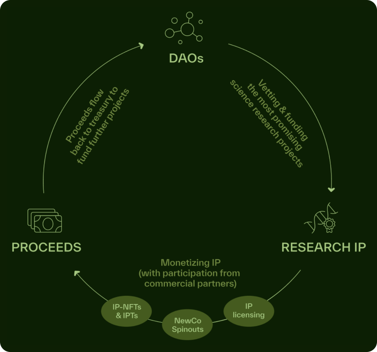 詳解BIO Protocol及DeSci領(lǐng)域項目如何革新科研&nbsp;圖片